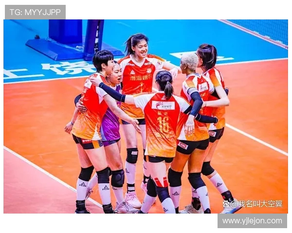 西安排球队灵活性引发热议球迷观点各异分析背后原因