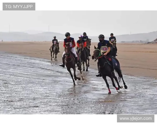 赛后分析:西安排球队与广州排球队耐力对决的精彩瞬间与启示 赛后分析:西安排球队与广州排球队耐力对决的精彩瞬间与启示