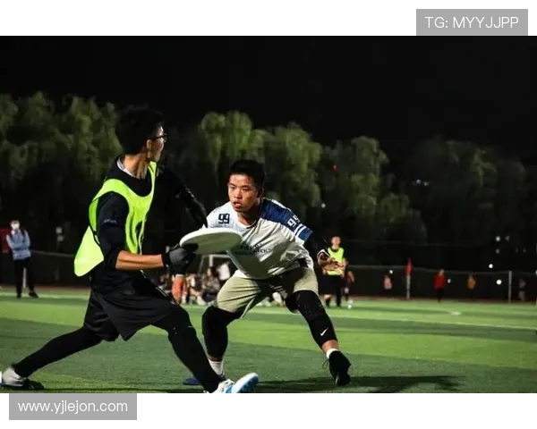 飞盘耐力排行榜揭晓广州飞盘队荣登第十名展现强劲实力